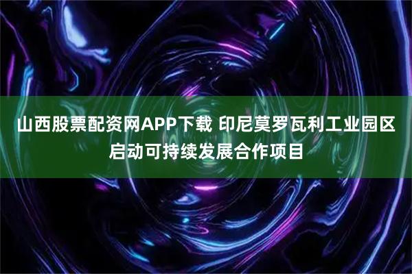 山西股票配资网APP下载 印尼莫罗瓦利工业园区启动可持续发展合作项目